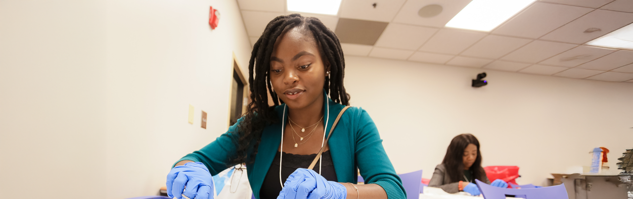 Established and emerging pipeline programs